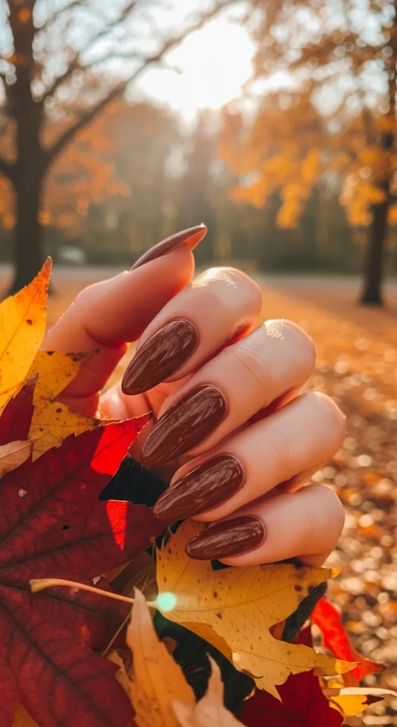 Chocolate Brown Nails