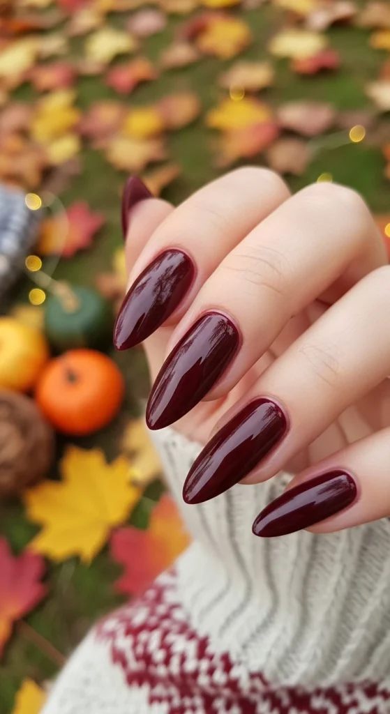 Deep Burgundy Elegance Nails