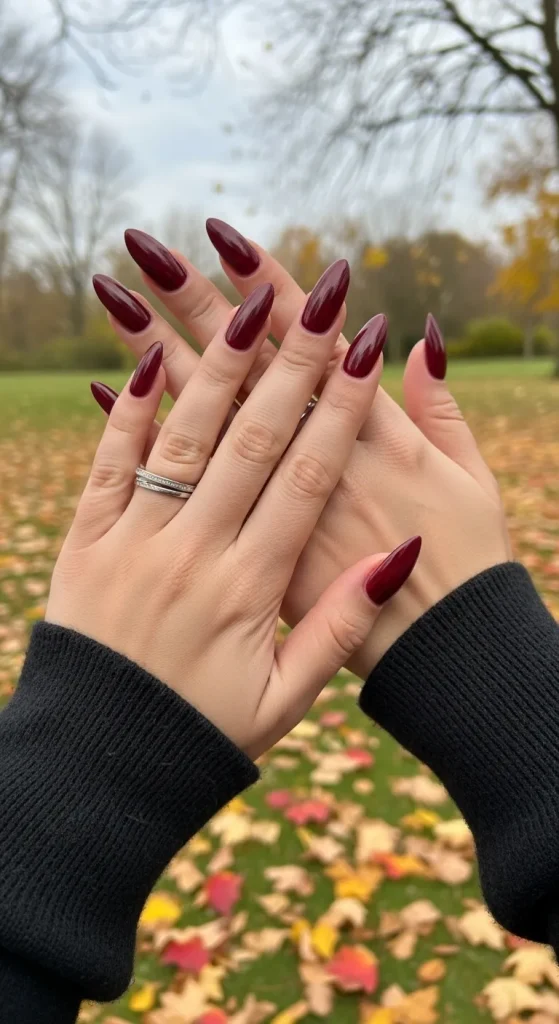 Burgundy & Wine Shades