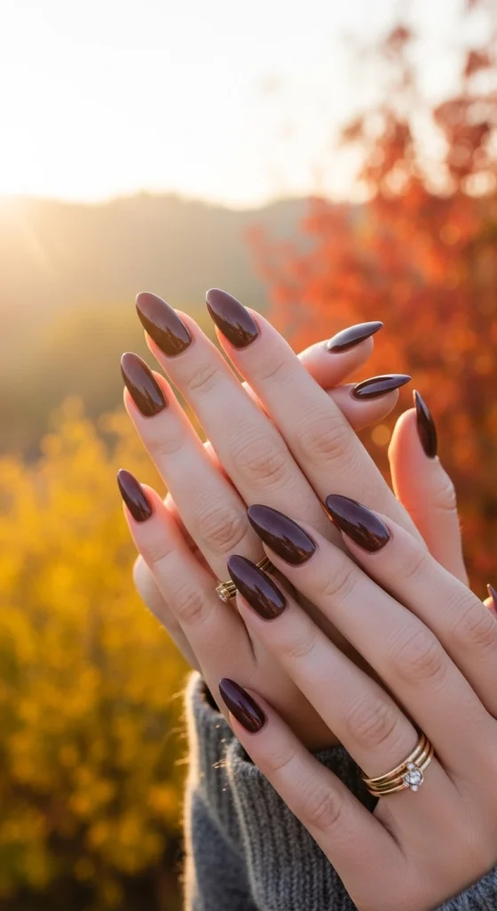 Classic Glossy Rum Raisin Nails
