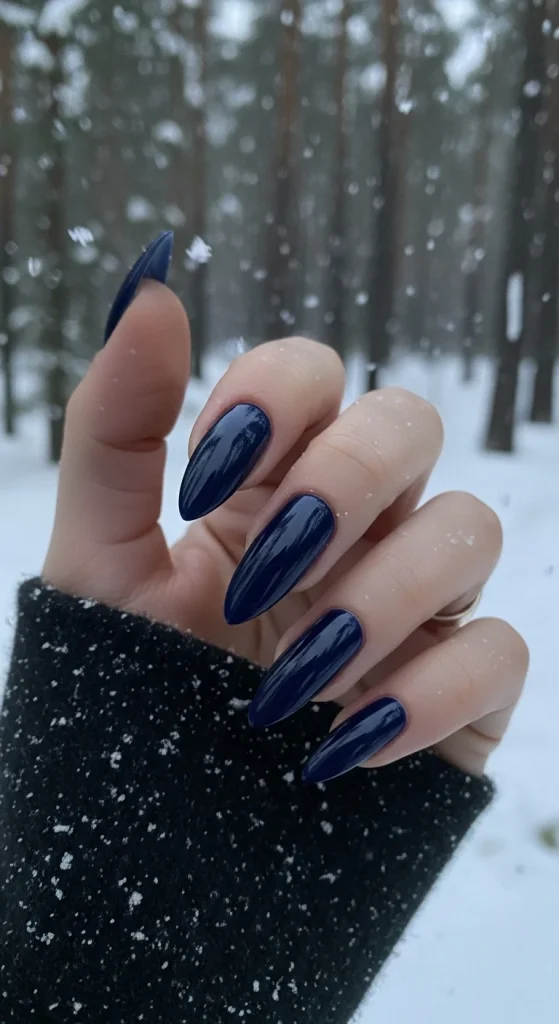 Midnight Blue for Chic Sophistication